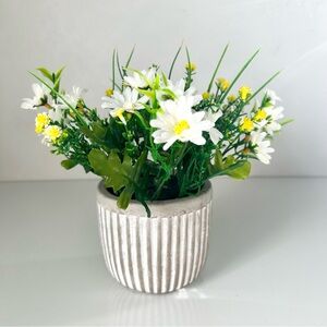 Spring Daisies Floral Arrangement